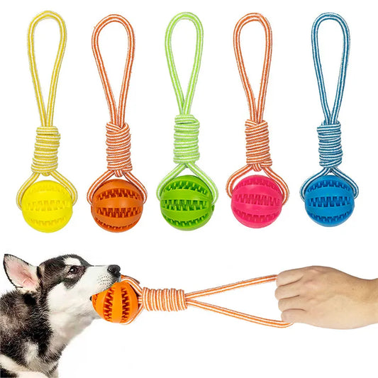 Interactive Treat Balls for Dogs