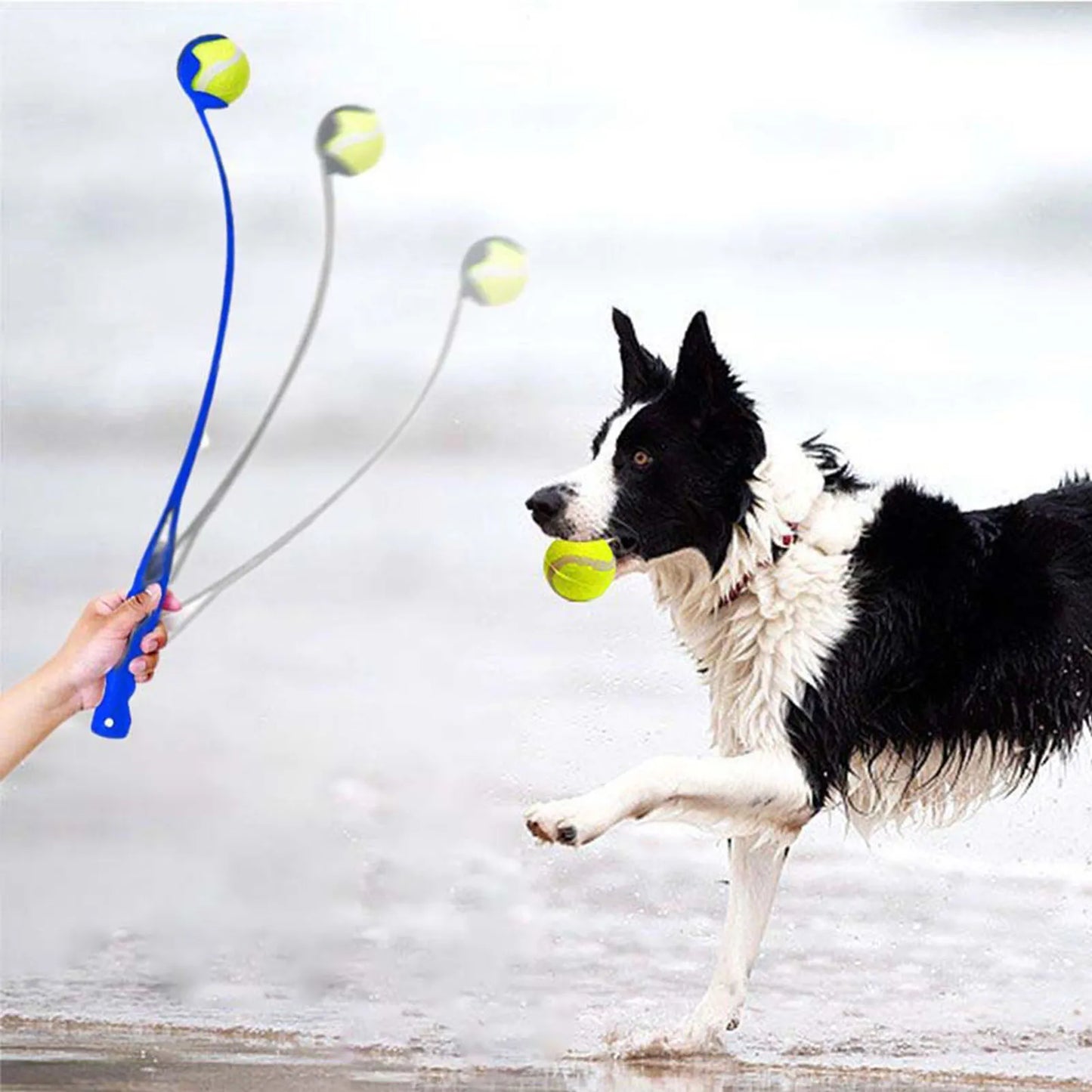 Handheld Dog Ball Launcher