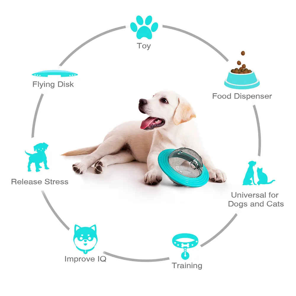 Interactive Dog Planet Treat Toy
