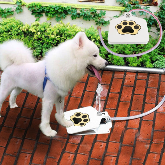 Dog Water Fountain